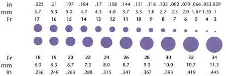 French catheter scale